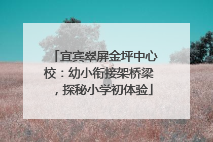 宜宾翠屏金坪中心校：幼小衔接架桥梁，探秘小学初体验