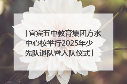 宜宾五中教育集团方水中心校举行2025年少先队退队暨入队仪式