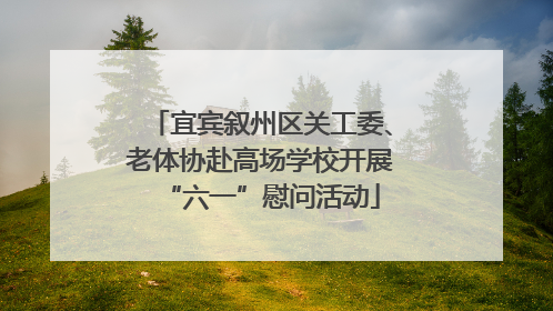 宜宾叙州区关工委、老体协赴高场学校开展“六一”慰问活动