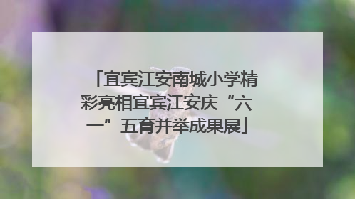 宜宾江安南城小学精彩亮相宜宾江安庆“六一”五育并举成果展