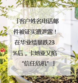 客户姓名电话邮件被证实遭泄露！在华业绩暴跌23%后，卡地亚又陷“信任危机”