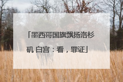墨西哥国旗飘扬洛杉矶 白宫：看，罪证