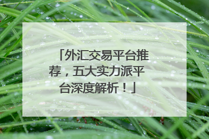 外汇交易平台推荐，五大实力派平台深度解析！