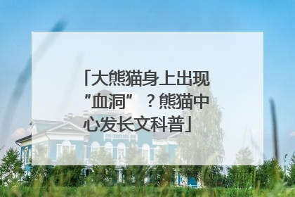 大熊猫身上出现“血洞”？熊猫中心发长文科普
