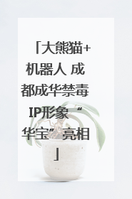 大熊猫+机器人 成都成华禁毒IP形象“华宝”亮相