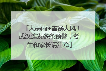 大暴雨+雷暴大风！武汉连发多条预警，考生和家长请注意