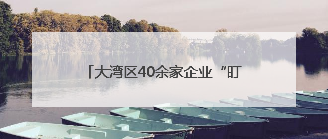 大湾区40余家企业“盯上”海口这场政策分享会