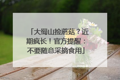 大蜀山捡蘑菇？近期疯长！官方提醒：不要随意采摘食用