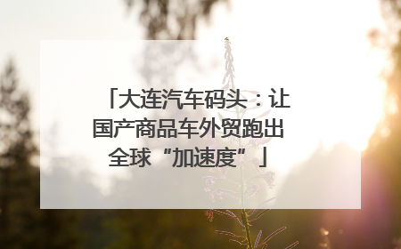 大连汽车码头：让国产商品车外贸跑出全球“加速度”
