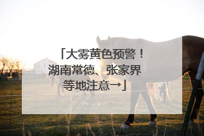 大雾黄色预警！湖南常德、张家界等地注意→