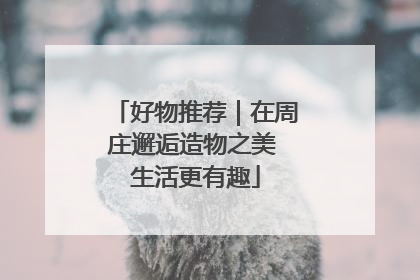好物推荐｜在周庄邂逅造物之美 生活更有趣