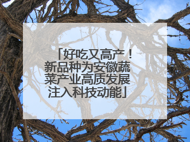 好吃又高产！新品种为安徽蔬菜产业高质发展注入科技动能