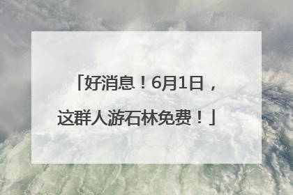 好消息！6月1日，这群人游石林免费！
