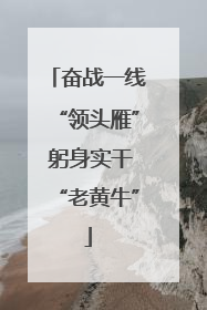 奋战一线“领头雁” 躬身实干“老黄牛”