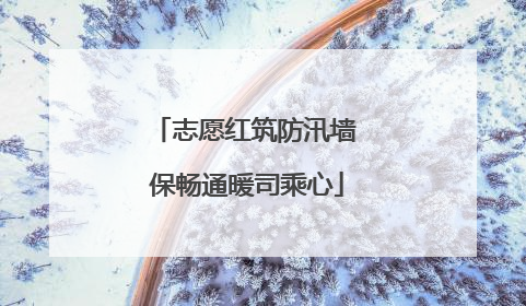 志愿红筑防汛墙 保畅通暖司乘心