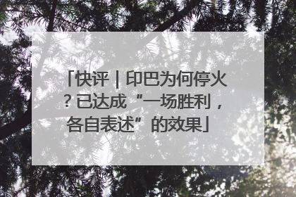 快评｜印巴为何停火？已达成“一场胜利，各自表述”的效果