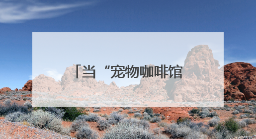 当“宠物咖啡馆”落户北京10号线“青创村”：在“卷”与“躺”之间，他们找到了第三种生活公式