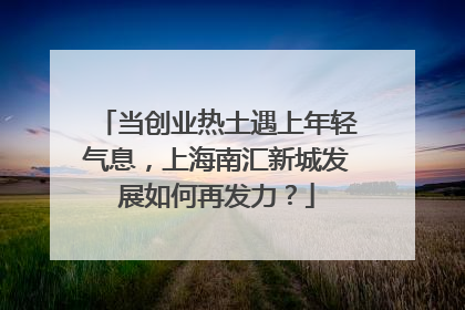 当创业热土遇上年轻气息，上海南汇新城发展如何再发力？