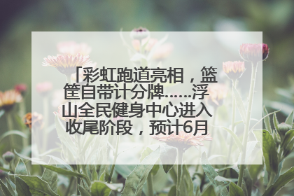 彩虹跑道亮相，篮筐自带计分牌……浮山全民健身中心进入收尾阶段，预计6月30日试运营