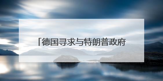 德国寻求与特朗普政府协调涉乌克兰问题立场