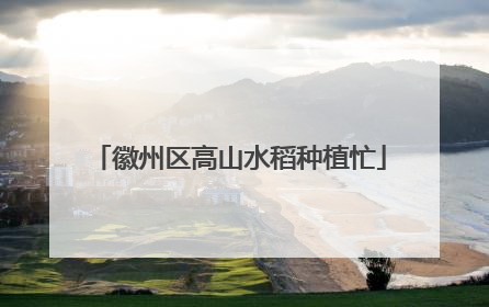 徽州区高山水稻种植忙