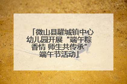 微山县驩城镇中心幼儿园开展“端午粽香情 师生共传承”端午节活动