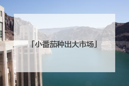 小番茄种出大市场