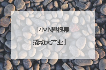 小小碧根果撬动大产业