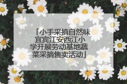 小手采摘自然味 宜宾江安西江小学开展劳动基地蔬菜采摘售卖活动