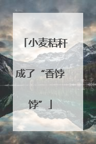 小麦秸秆成了“香饽饽”
