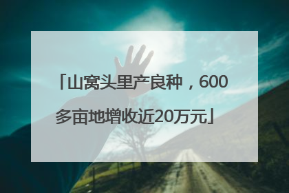 山窝头里产良种，600多亩地增收近20万元