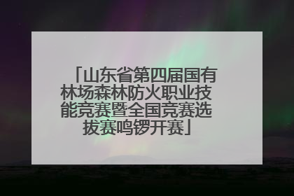 山东省第四届国有林场森林防火职业技能竞赛暨全国竞赛选拔赛鸣锣开赛