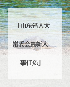 山东省人大常委会最新人事任免