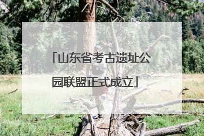 山东省考古遗址公园联盟正式成立