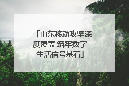 山东移动攻坚深度覆盖 筑牢数字生活信号基石