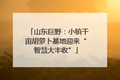 山东巨野：小镇千亩胡萝卜基地迎来“智慧大丰收”