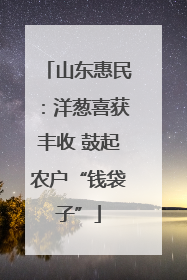 山东惠民：洋葱喜获丰收 鼓起农户“钱袋子”