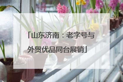 山东济南：老字号与外贸优品同台展销