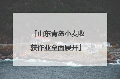 山东青岛小麦收获作业全面展开