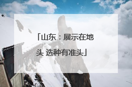 山东：展示在地头 选种有准头