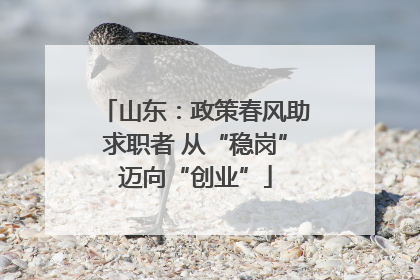 山东：政策春风助求职者 从“稳岗”迈向“创业”