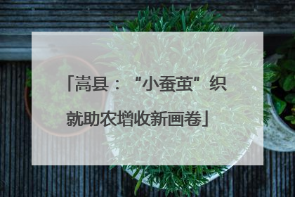 嵩县：“小蚕茧”织就助农增收新画卷