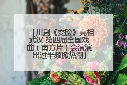 川剧《变脸》亮相武汉 第四届全国戏曲（南方片）会演演出过半频掀热潮