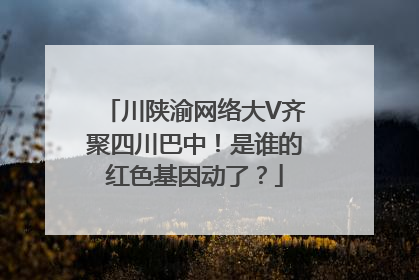 川陕渝网络大V齐聚四川巴中！是谁的红色基因动了？