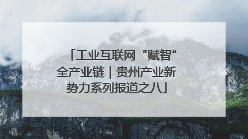 工业互联网“赋智”全产业链｜贵州产业新势力系列报道之八