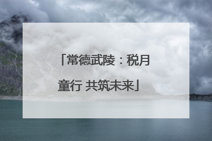常德武陵：税月童行 共筑未来