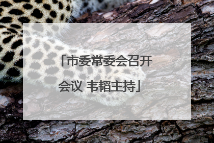 市委常委会召开会议 韦韬主持