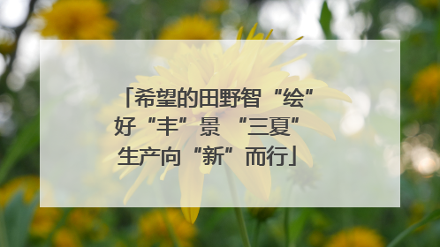 希望的田野智“绘”好“丰”景 “三夏”生产向“新”而行