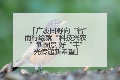 广袤田野向“智”而行绘就“科技兴农”新图景 好“丰”光传递新希望