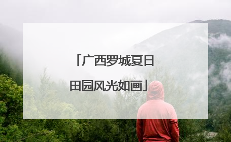 广西罗城夏日田园风光如画